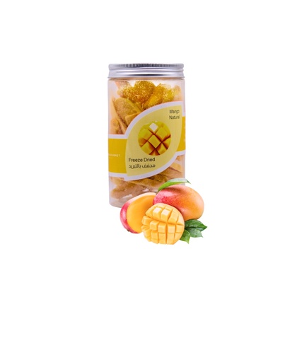 Freeze Dried Fruits - Mango